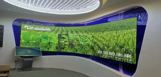 Flexible Curved LED Display Screen for Shopping Mals, Bars, etc.